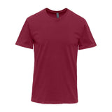 3600SW Next Level Unisex Soft Wash T-Shirt Washed Cardinal