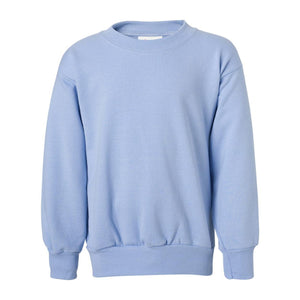 P360 Hanes Ecosmart® Youth Crewneck Sweatshirt Light Blue