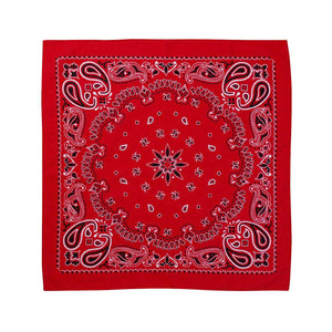 VC21 Valucap ValuMask Bandana Red Paisley