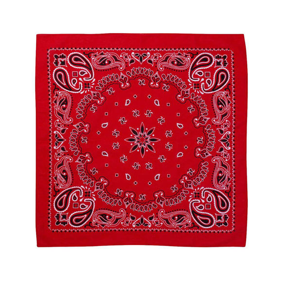 VC21 Valucap ValuMask Bandana Red Paisley