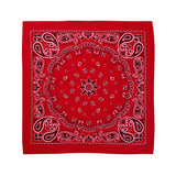 VC21 Valucap ValuMask Bandana Red Paisley