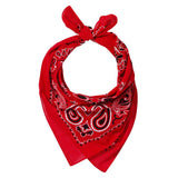 VC21 Valucap ValuMask Bandana Red Paisley