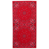 VC20 Valucap ValuMask Gaiter Red Paisley