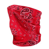 VC20 Valucap ValuMask Gaiter Red Paisley